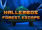 Hallerbos Forest Escape Walkthrough